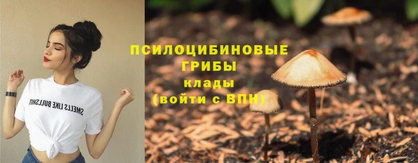 а пвп мука Медногорск