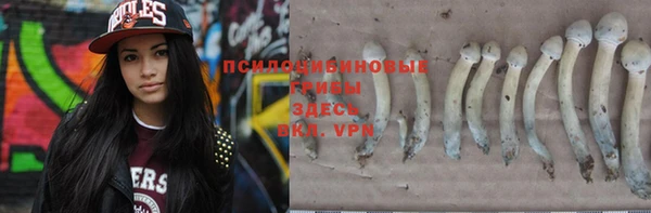 дурь Медвежьегорск