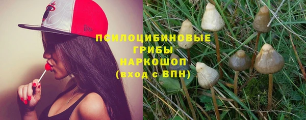 дурь Медвежьегорск