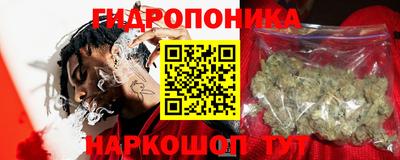 винт Партизанск