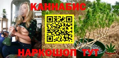 винт Партизанск