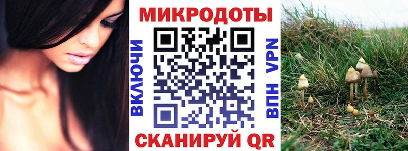 Галлюциногенные грибы Magic Shrooms  дарнет шоп  Советская Гавань 