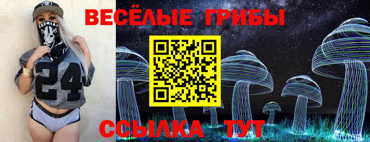 Псилоцибиновые грибы Psilocybine cubensis Советская Гавань