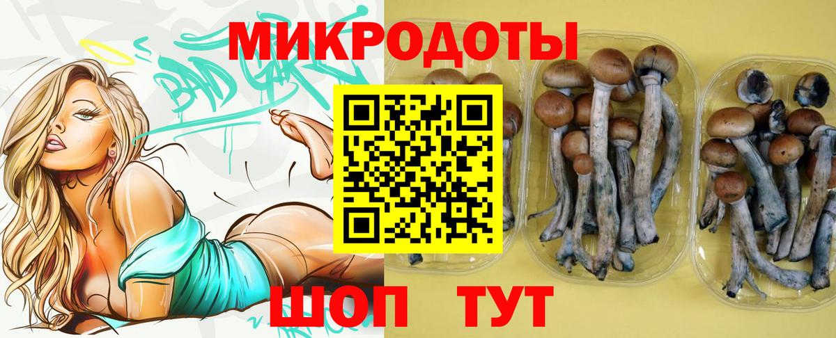 Галлюциногенные грибы Psilocybine cubensis  Вход с VPN  Псилоцибиновые грибы Cubensis  Советская Гавань 